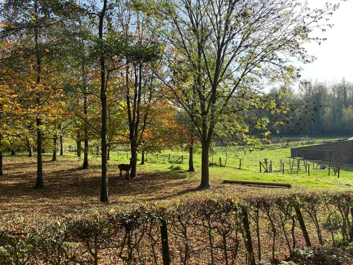 Limburg Lux 90 Villa Simpelveld Bagian luar foto